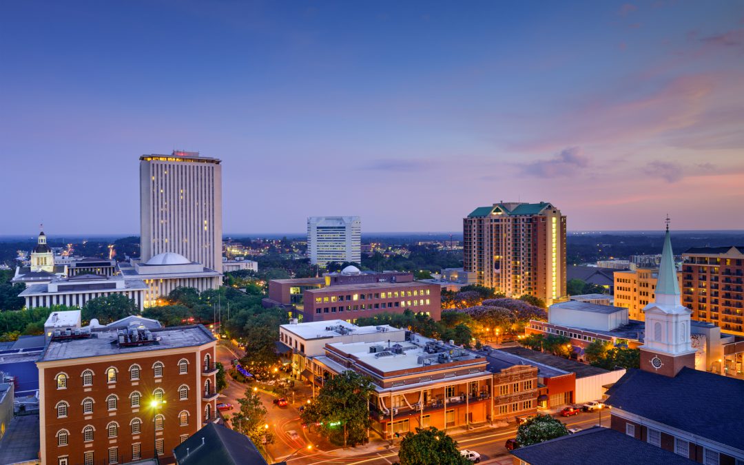 Top 15 Tallahassee Real Estate Agents On Social Media