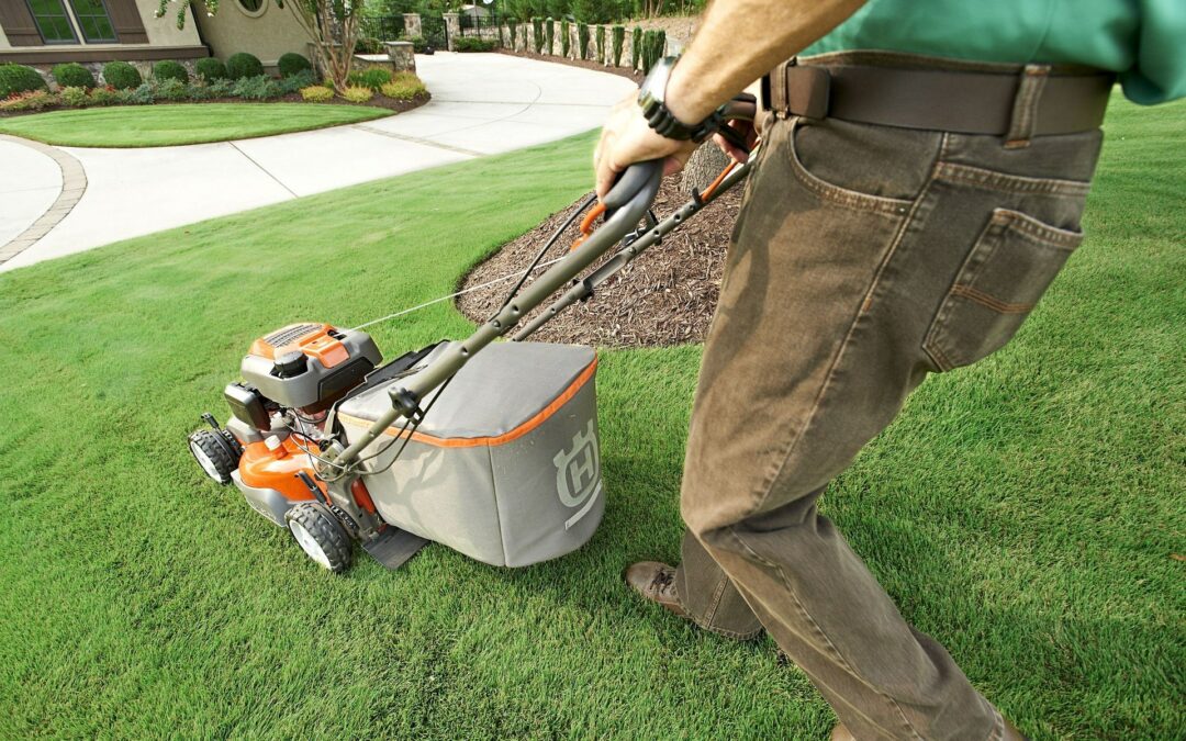 How To Prepare Your Lawn Before Selling Your Home for Top Dollar