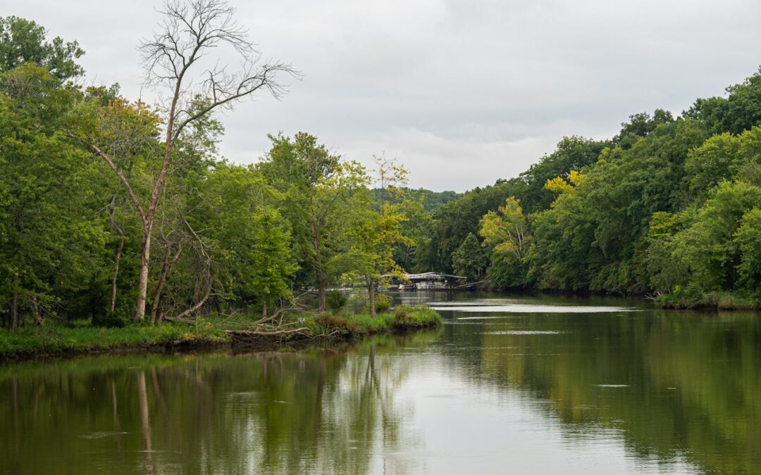 Fun Lake Activities to Enjoy